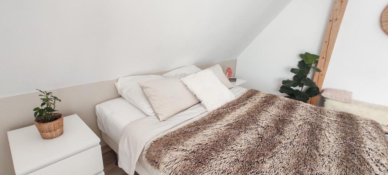 Cocoon Bed And Breakfast Fegersheim Bagian luar foto